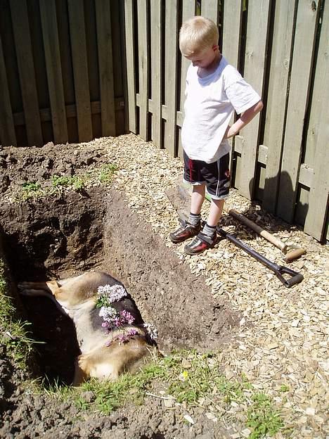 Blanding af racer Cody *DØD* - Her er Niklas ved at sige farvel billede 19