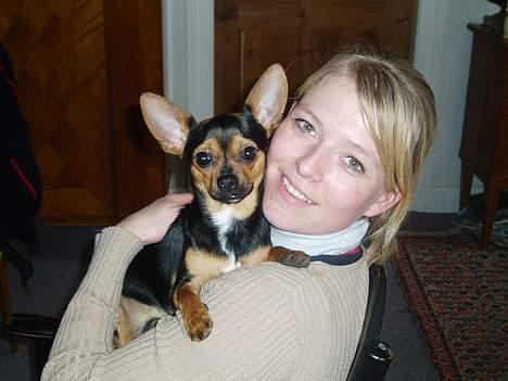 Blanding af racer ♥ Minus 'Jensen' ♥ - Glade Minus i armene på min Søster billede 3