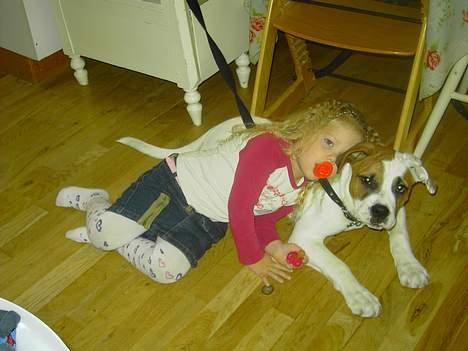 Blanding af racer Bonzai - mig og ida billede 6