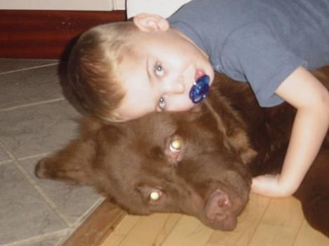 Blanding af racer Bobbi Brown billede 13