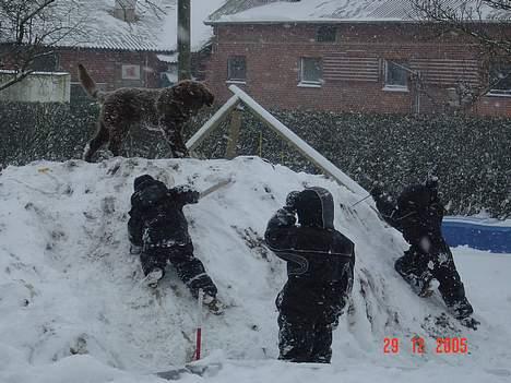 Blanding af racer Bobbi Brown billede 14