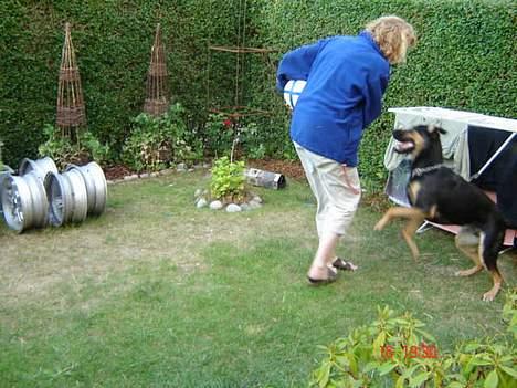 Blanding af racer Mikey - "Jeg skal nok få ram på både dig og den dumme bold" Mikey og min mor leger tag fat! billede 11