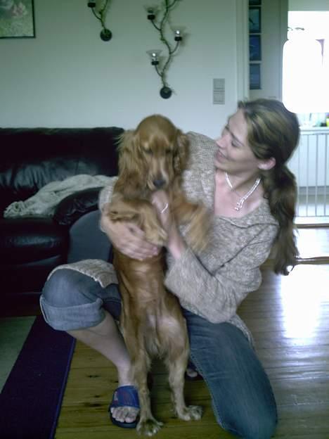 Cocker spaniel Lady - mor giv mig så det kødben billede 11