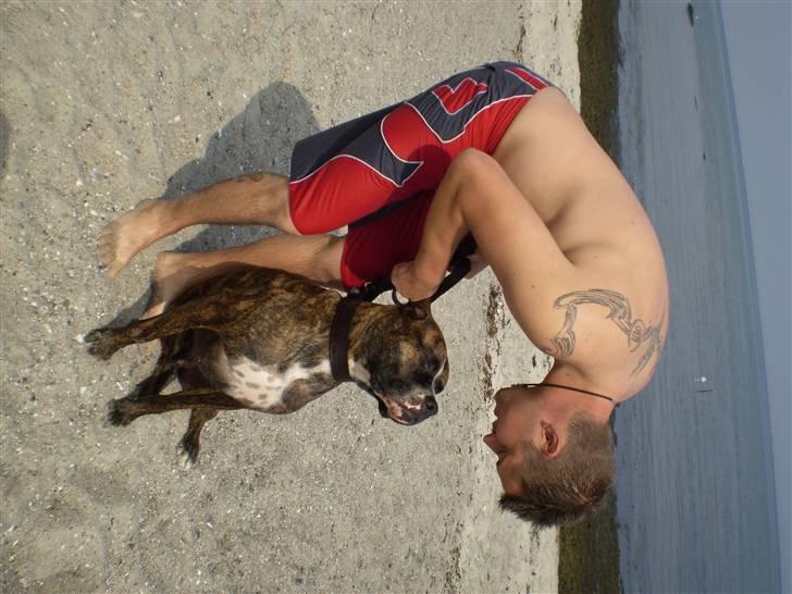 Blanding af racer Oscar  R.I.P. - Mig og far er de bedste venner...:o) billede 15