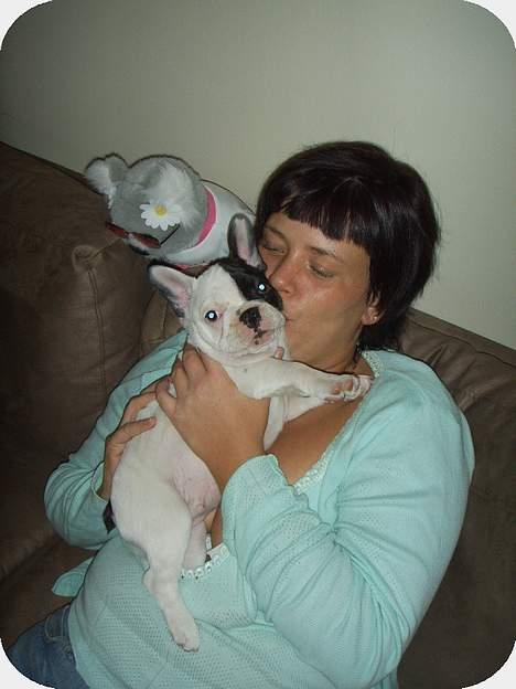 Fransk bulldog Joker - maria og joker.er de lige stået op.s.el på vej seng. billede 5