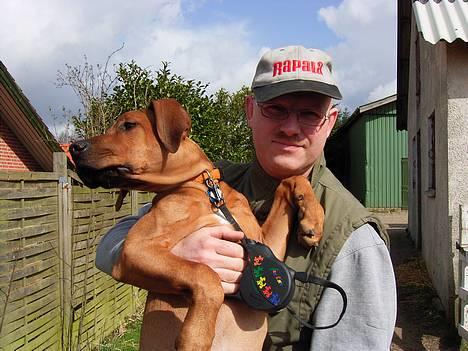 Rhodesian ridgeback n'Dondela.  ( Anton ) - Her er mig og min far. billede 3