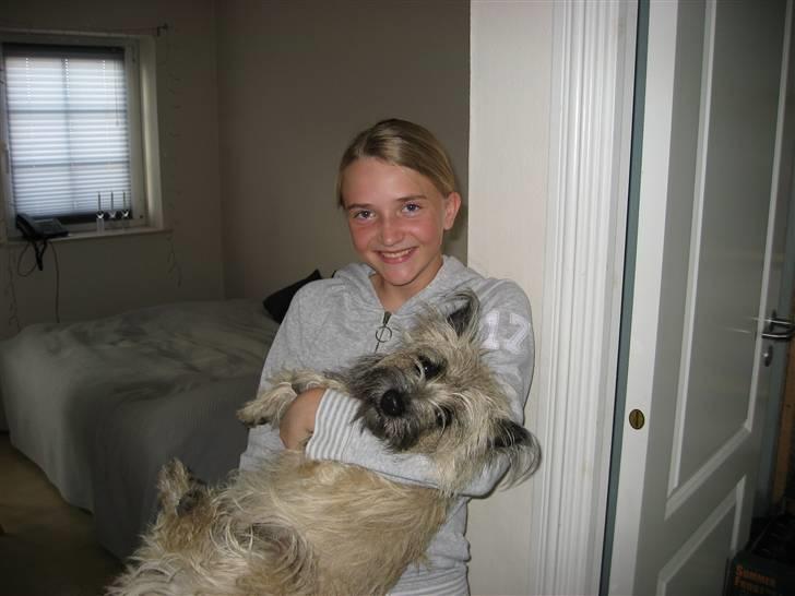 Cairn terrier Fru. Cille  - Mig og Cille billede 14