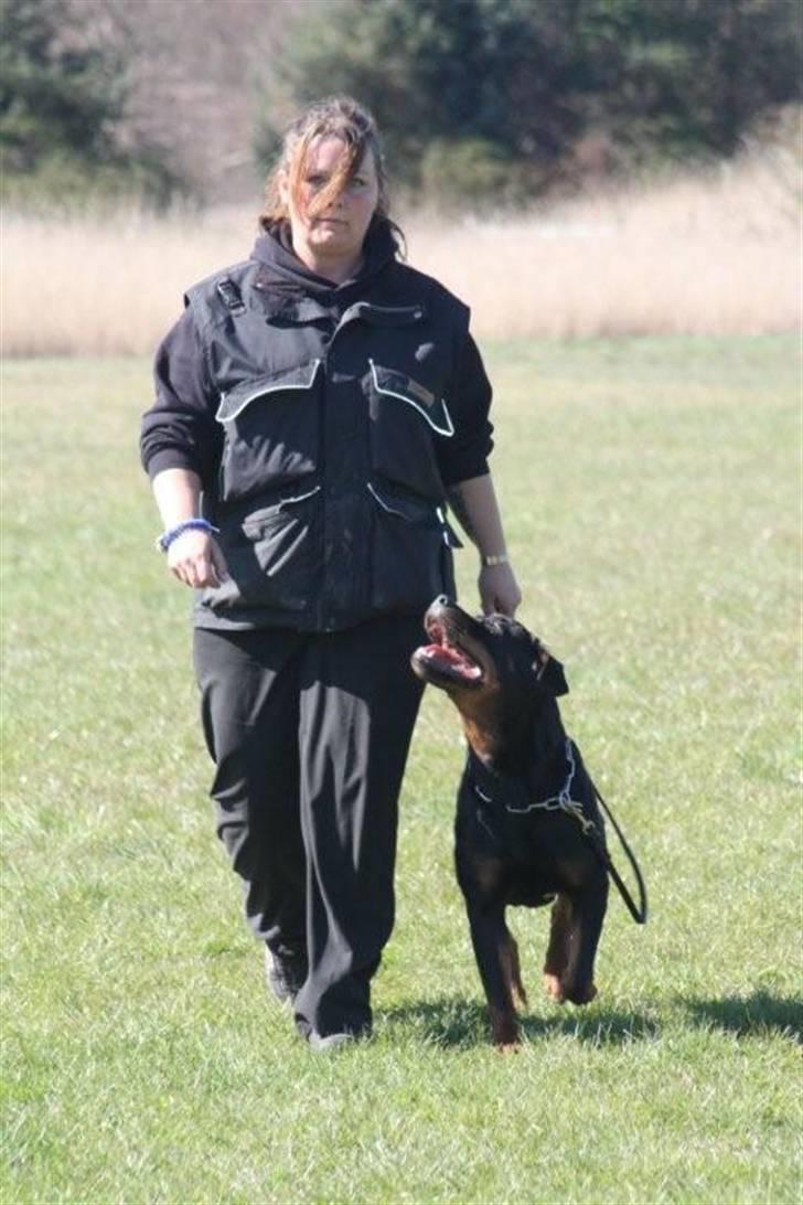 Rottweiler *Nala*  R.I.P. billede 15