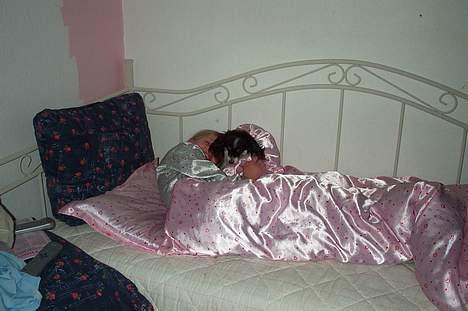 Papillon sille R.I.P :'( - Jeg elsker at putte i Lisas seng.. billede 8