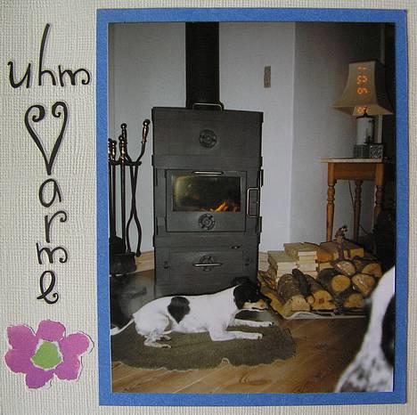 Dansk svensk gaardhund Bella *Himmelhund* - Fra min bella-scrapbog. Bella elskede at ligge foran kaminen og få varme. billede 11