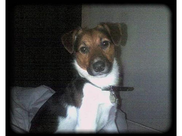 {{currentPhoto.altText}} billede {{currentPhoto.number}}