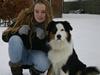 Australian shepherd Godrumgaard's Theo
