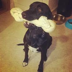 Blanding af racer Rolf 