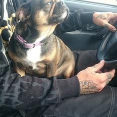Blanding af racer Diva <3 