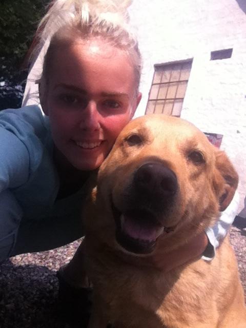 Blanding af racer Diego  billede 17