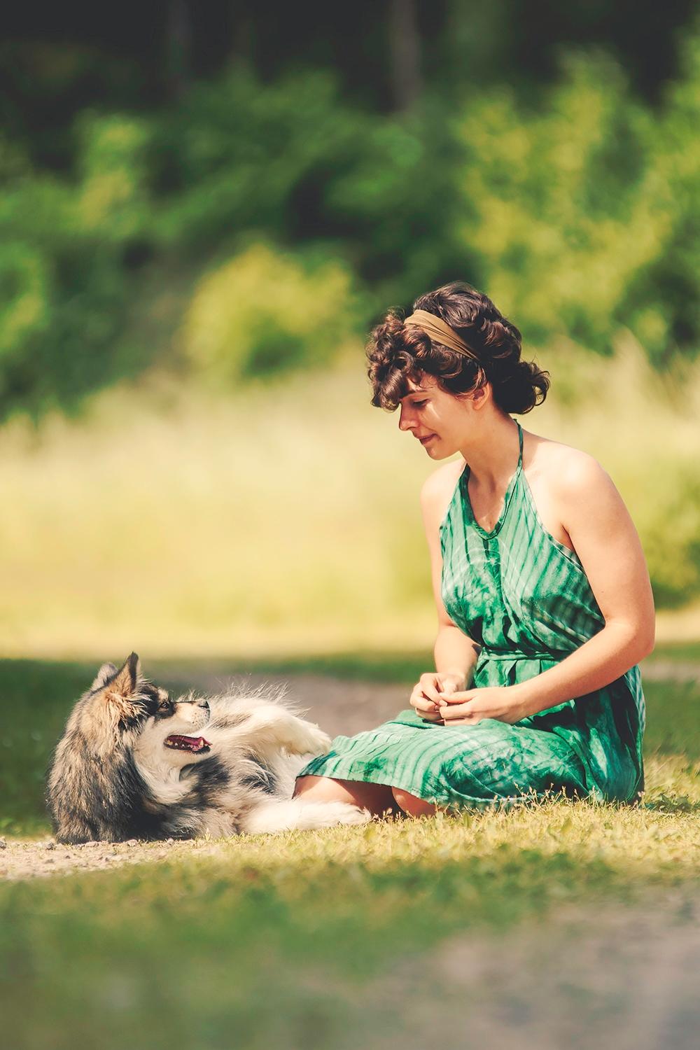 Finsk lapphund Gypsy - Taget af Katja Jensen billede 4