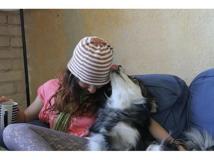 Finsk lapphund Gypsy billede 24