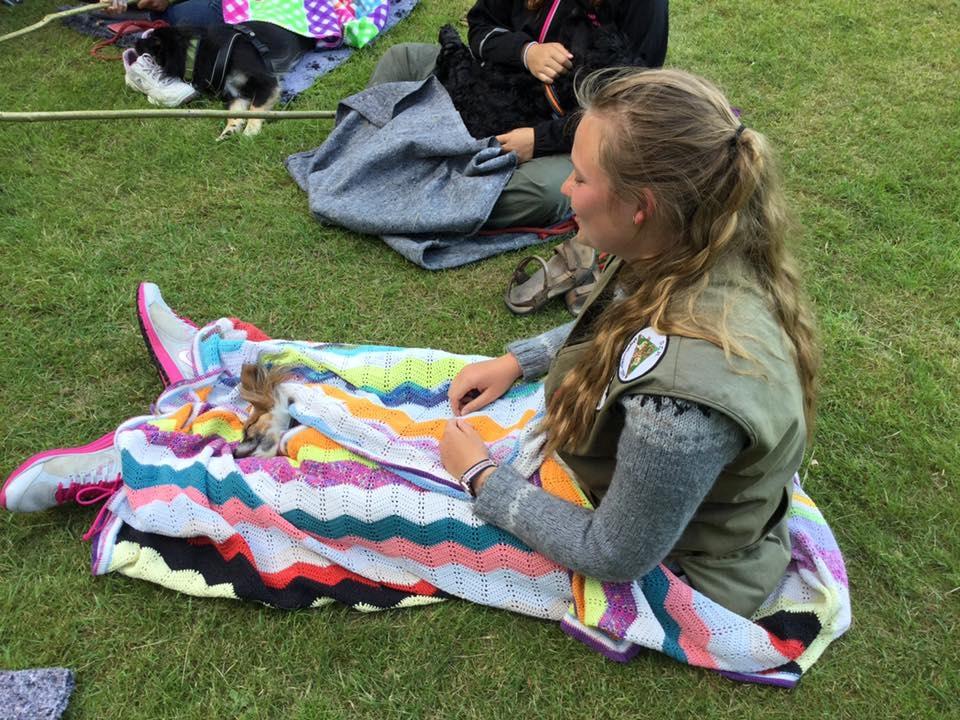 Papillon Charlie billede 31