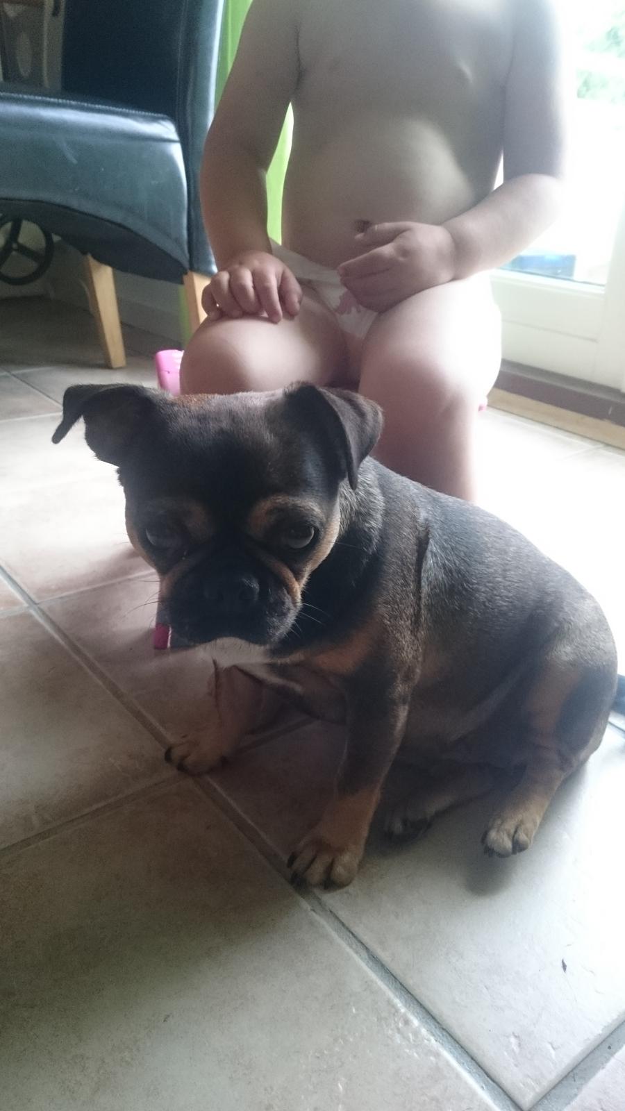 Blanding af racer Diva <3  - årh, det så dejligt med opmærksomhed ❤ billede 4