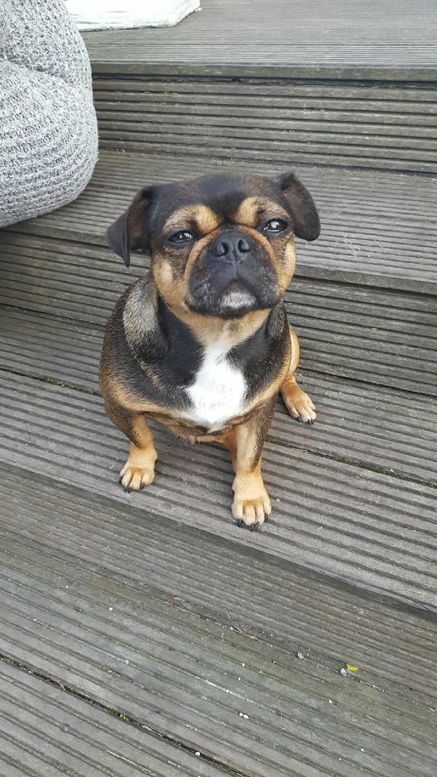 Blanding af racer Diva <3  billede 12