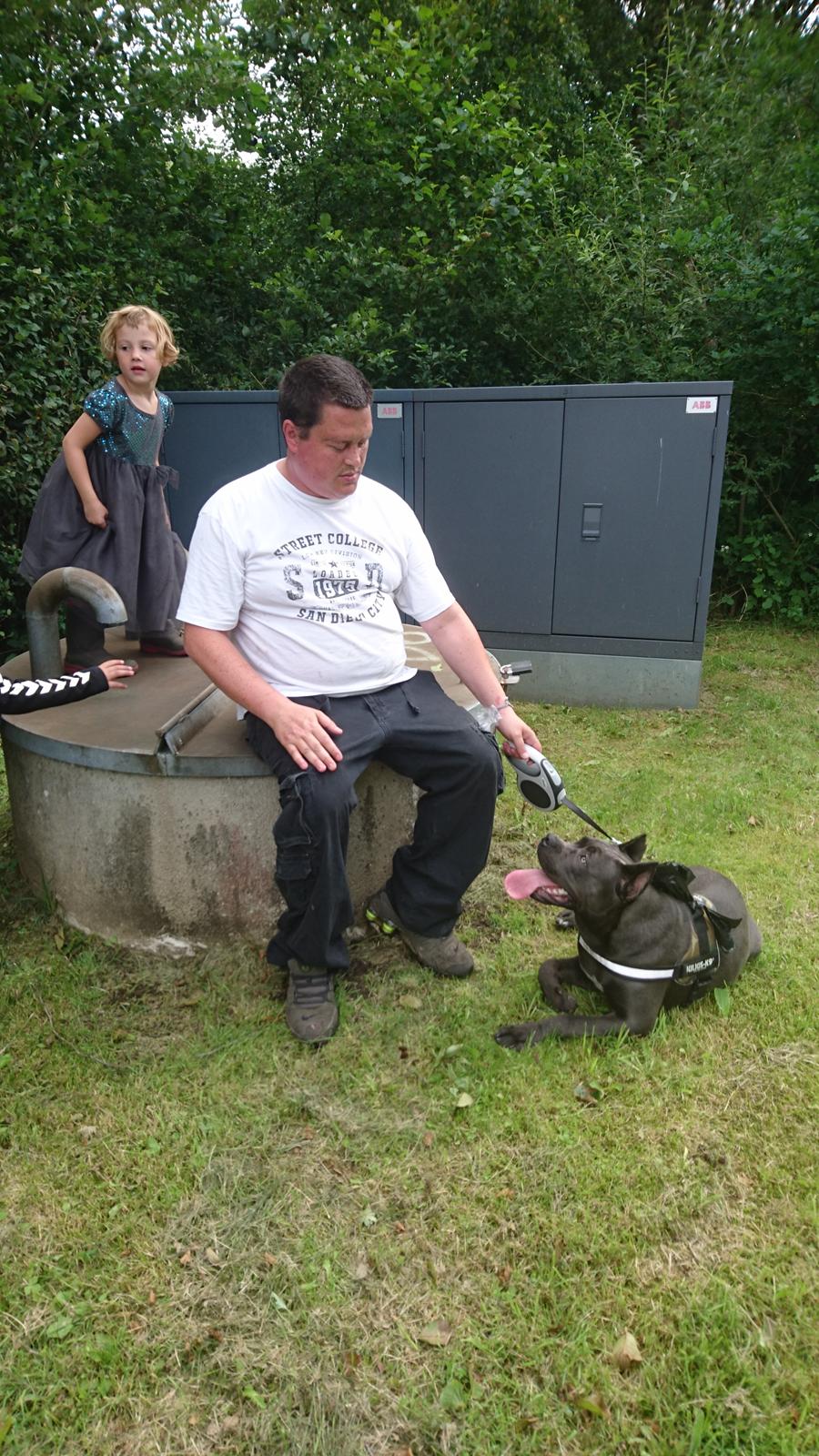 Cane corso chloé billede 12