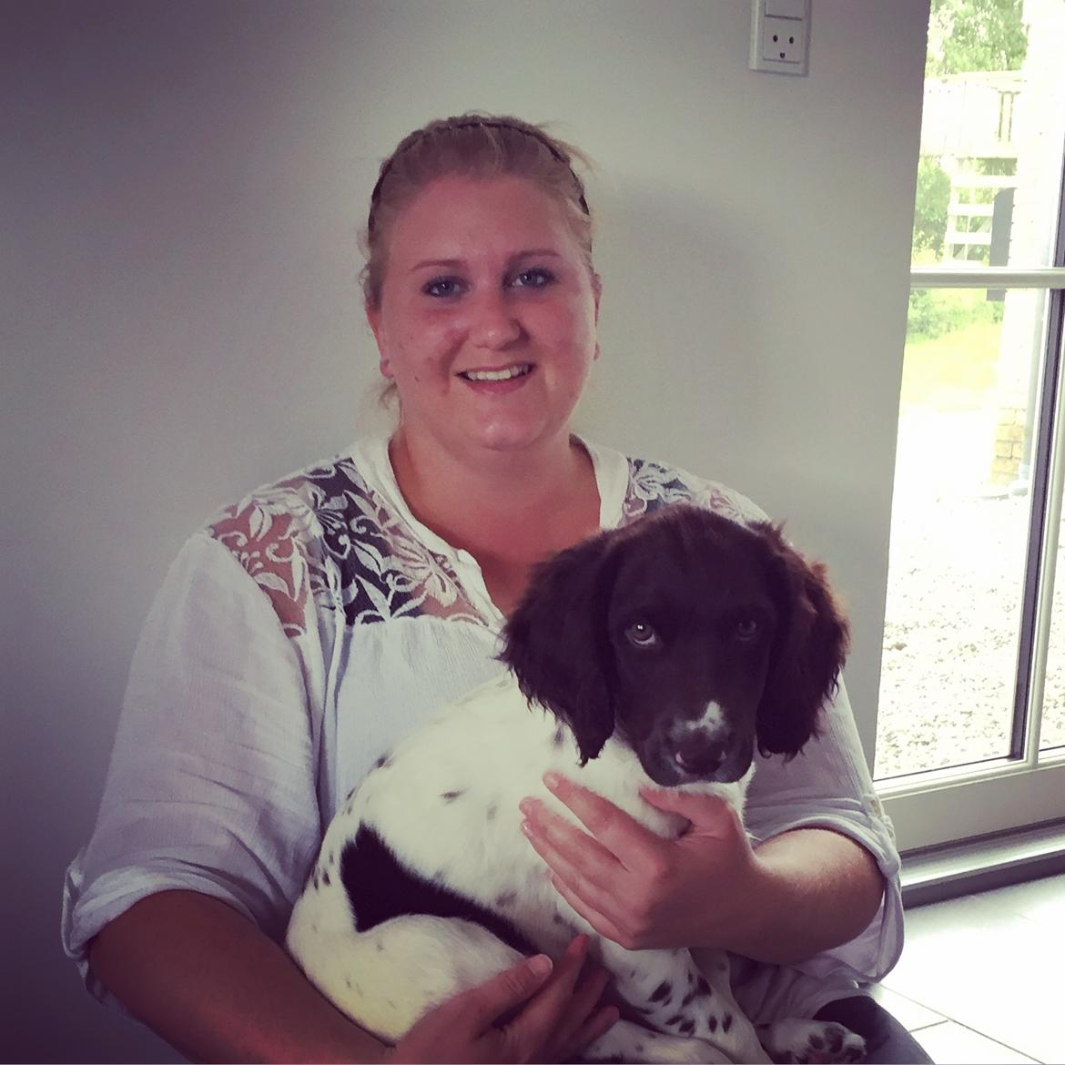 Kleiner münsterländer Milo - 18.07.2016 billede 10