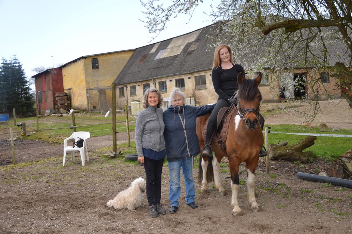 Bichon havanais Coccio - Hele familien samlet <3 billede 5