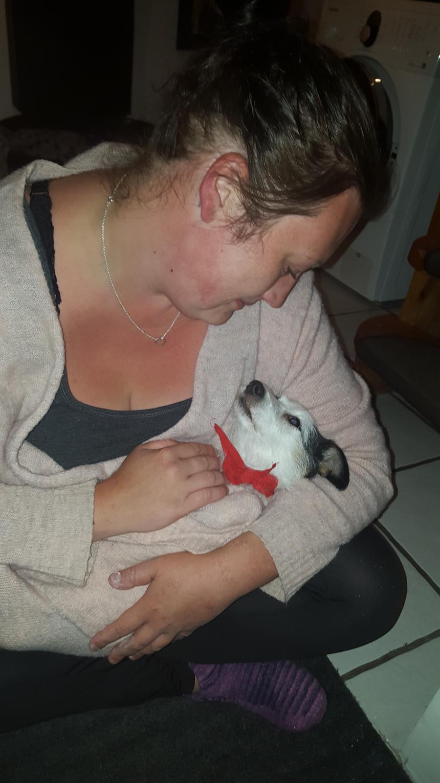 Jack russell terrier Nørlunds lollipop (Lolli) billede 18