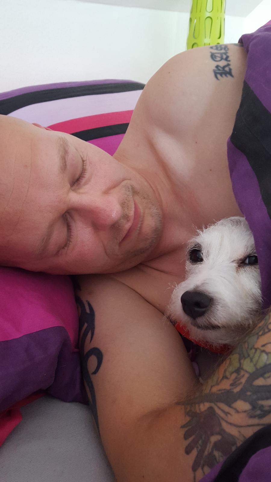 Jack russell terrier Nørlunds lollipop (Lolli) billede 19