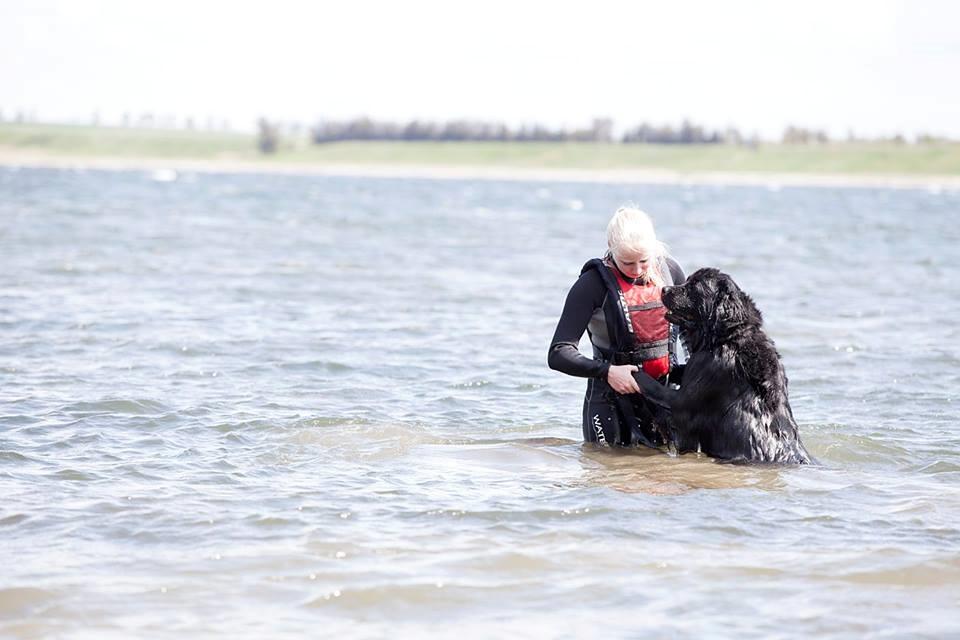 Newfoundlænder Moonshine Lovers Blue Thursday billede 24