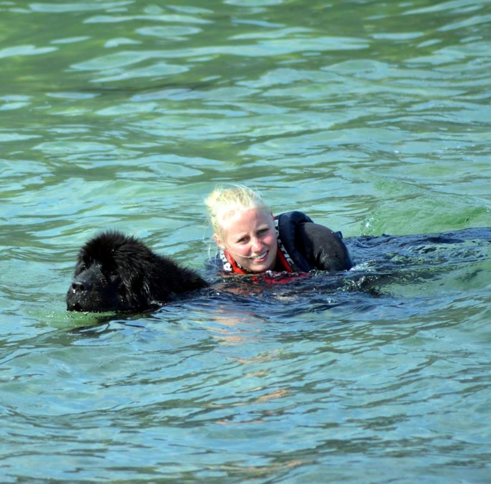 Newfoundlænder StarQuality's AnnaMarie's Karla billede 49