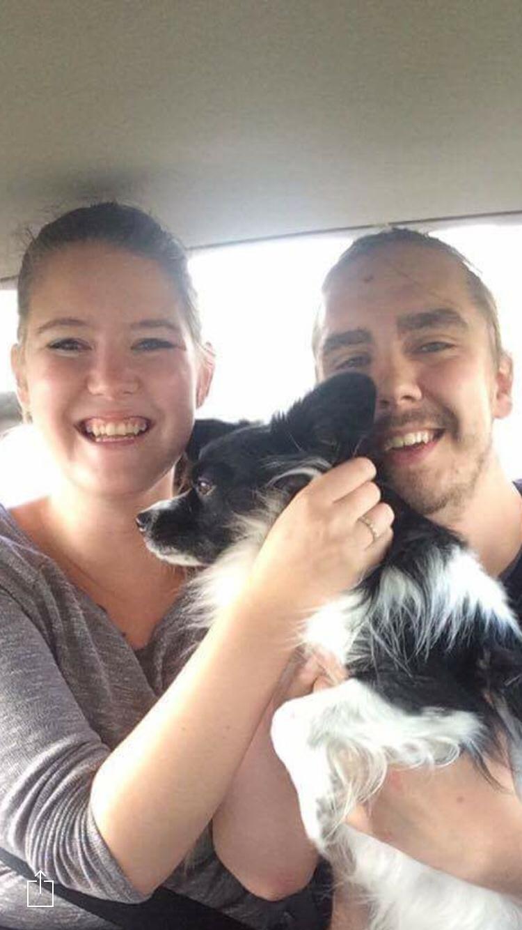 Papillon Malthe billede 3