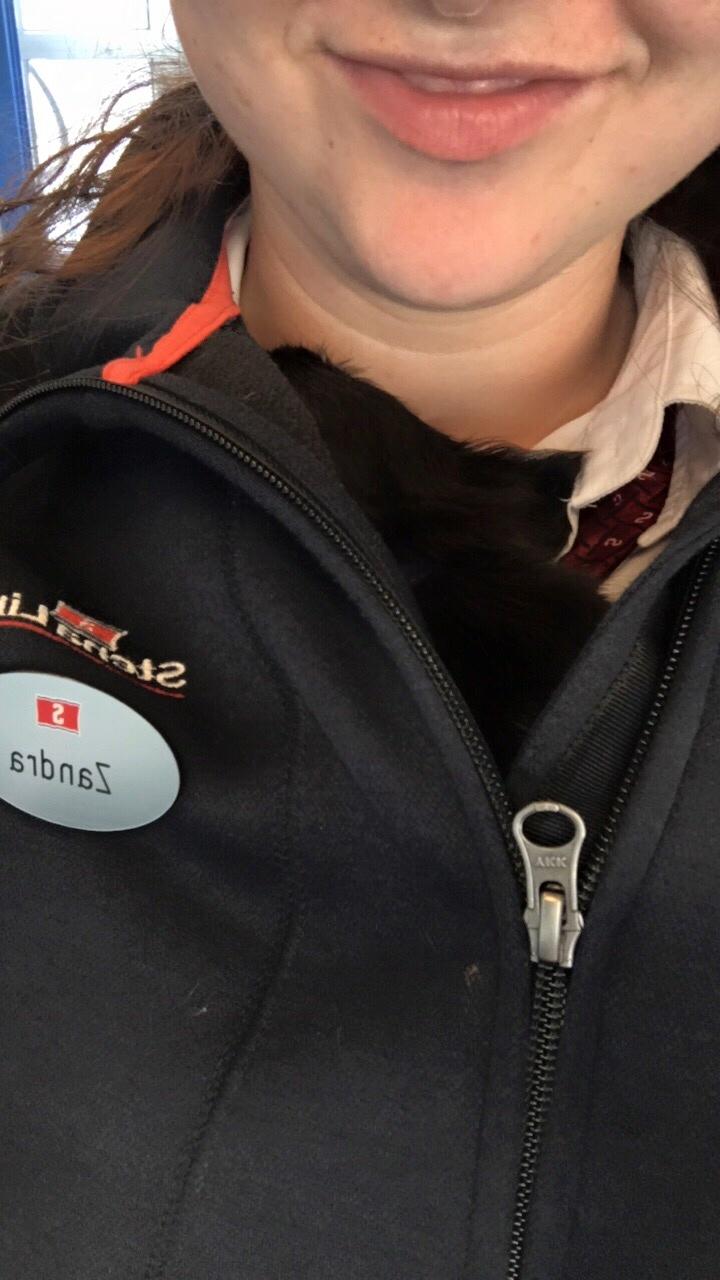 Chihuahua New Star Nova Be My Dream "Nova" billede 10