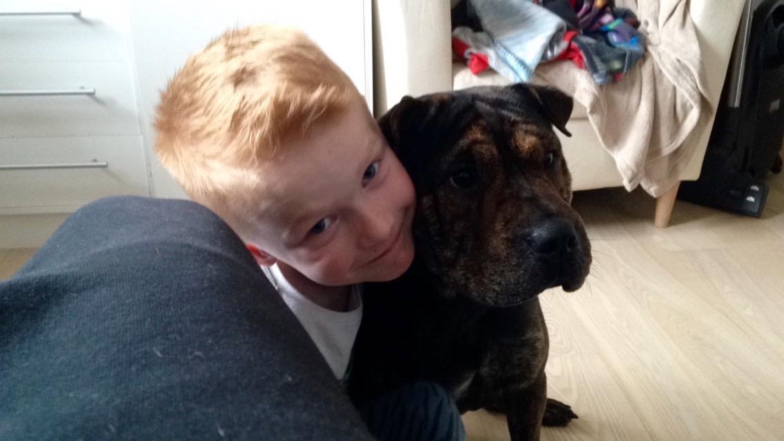 Blanding af racer Honey billede 20