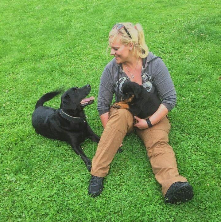 Rottweiler Herman  billede 10