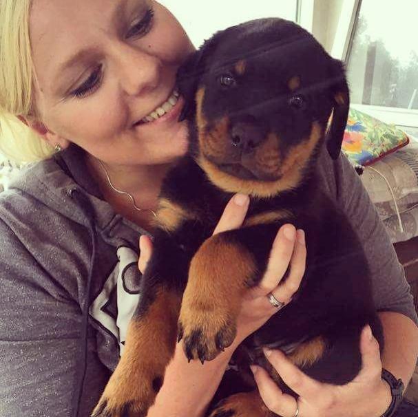 Rottweiler Herman  billede 11