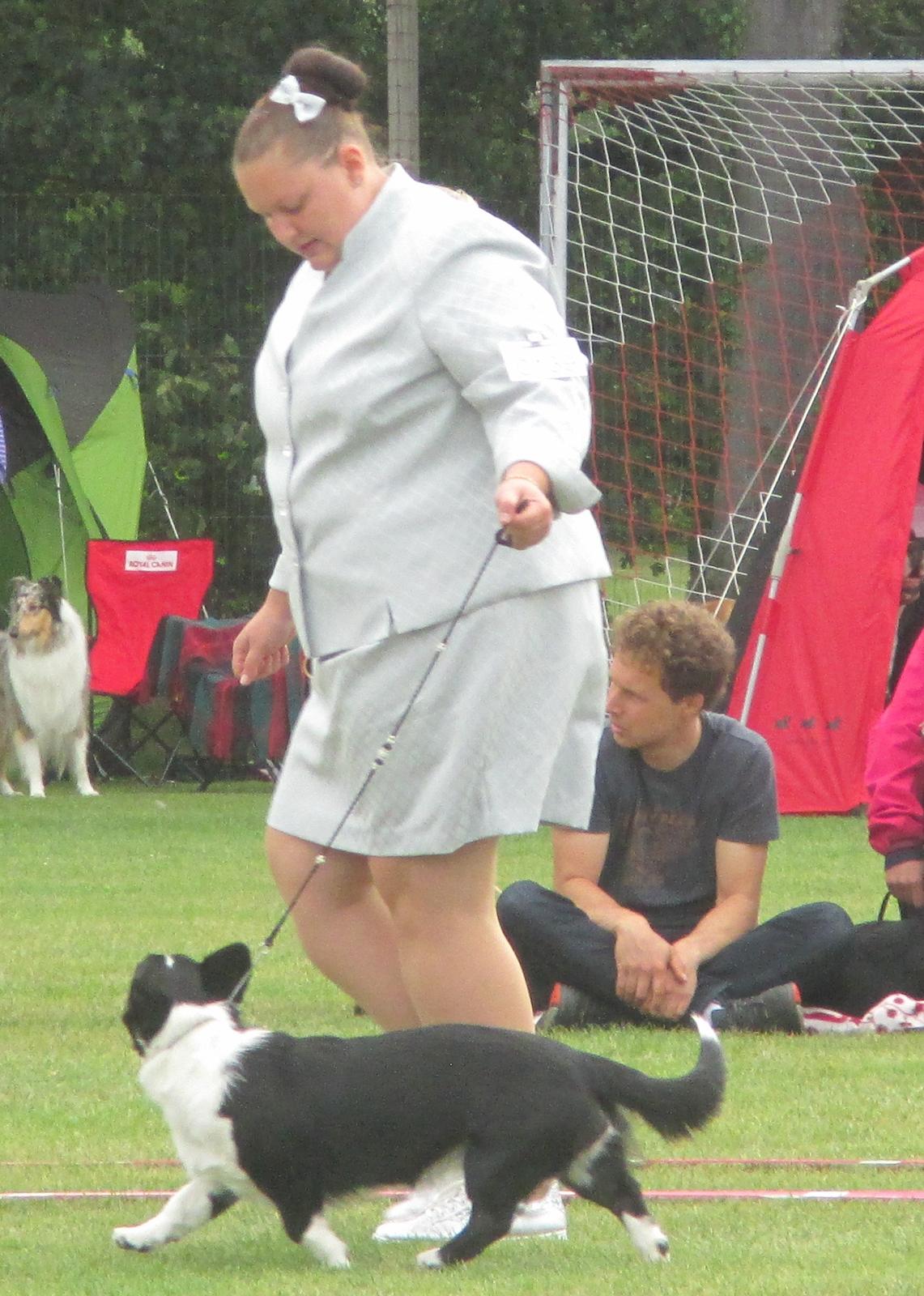 Welsh corgi cardigan Blondie's U 4 Ever  billede 28
