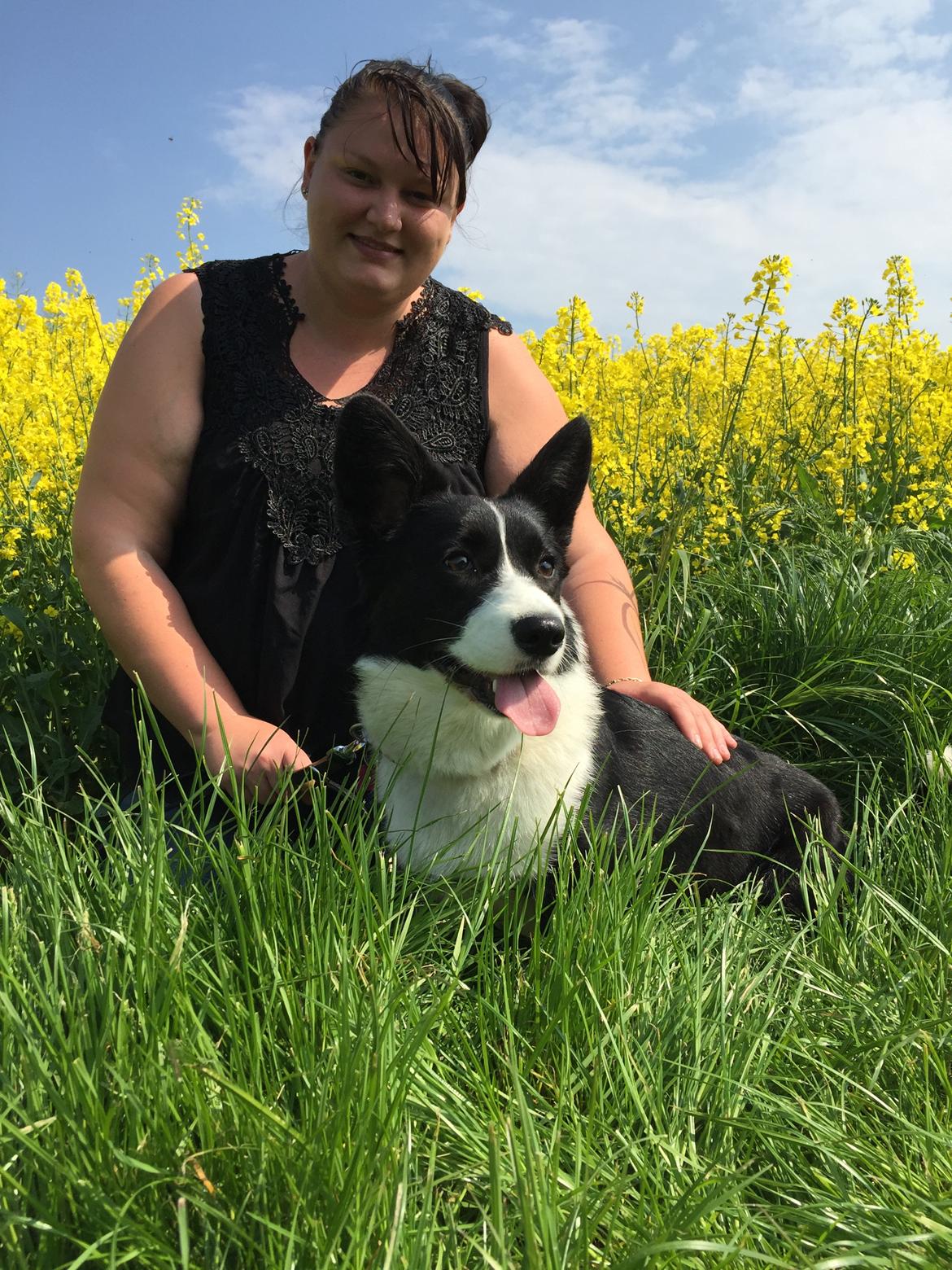 Welsh corgi cardigan Blondie's U 4 Ever  billede 32