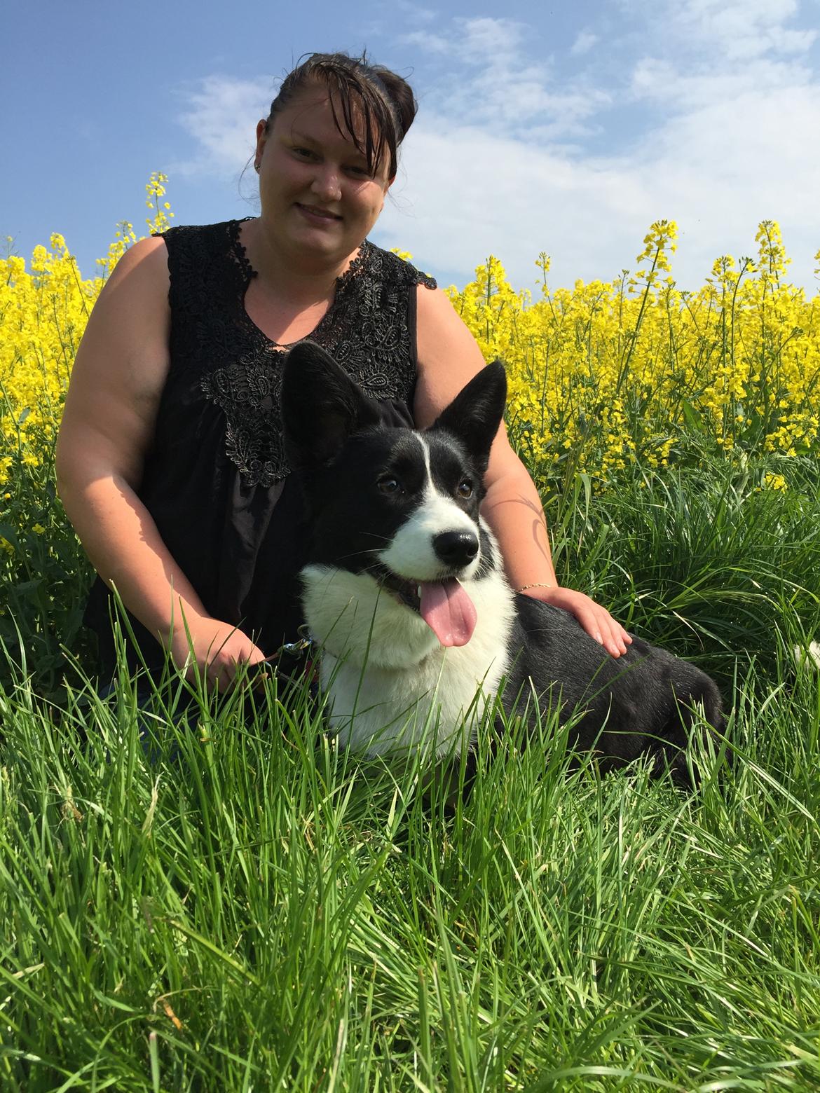 Welsh corgi cardigan Blondie's U 4 Ever  billede 33