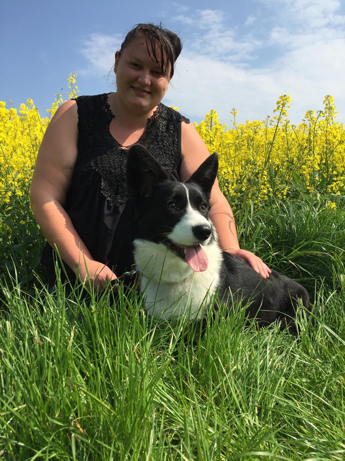 Welsh corgi cardigan Blondie's U 4 Ever  billede 38