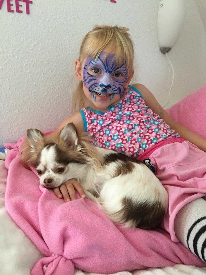 Chihuahua Coco billede 6