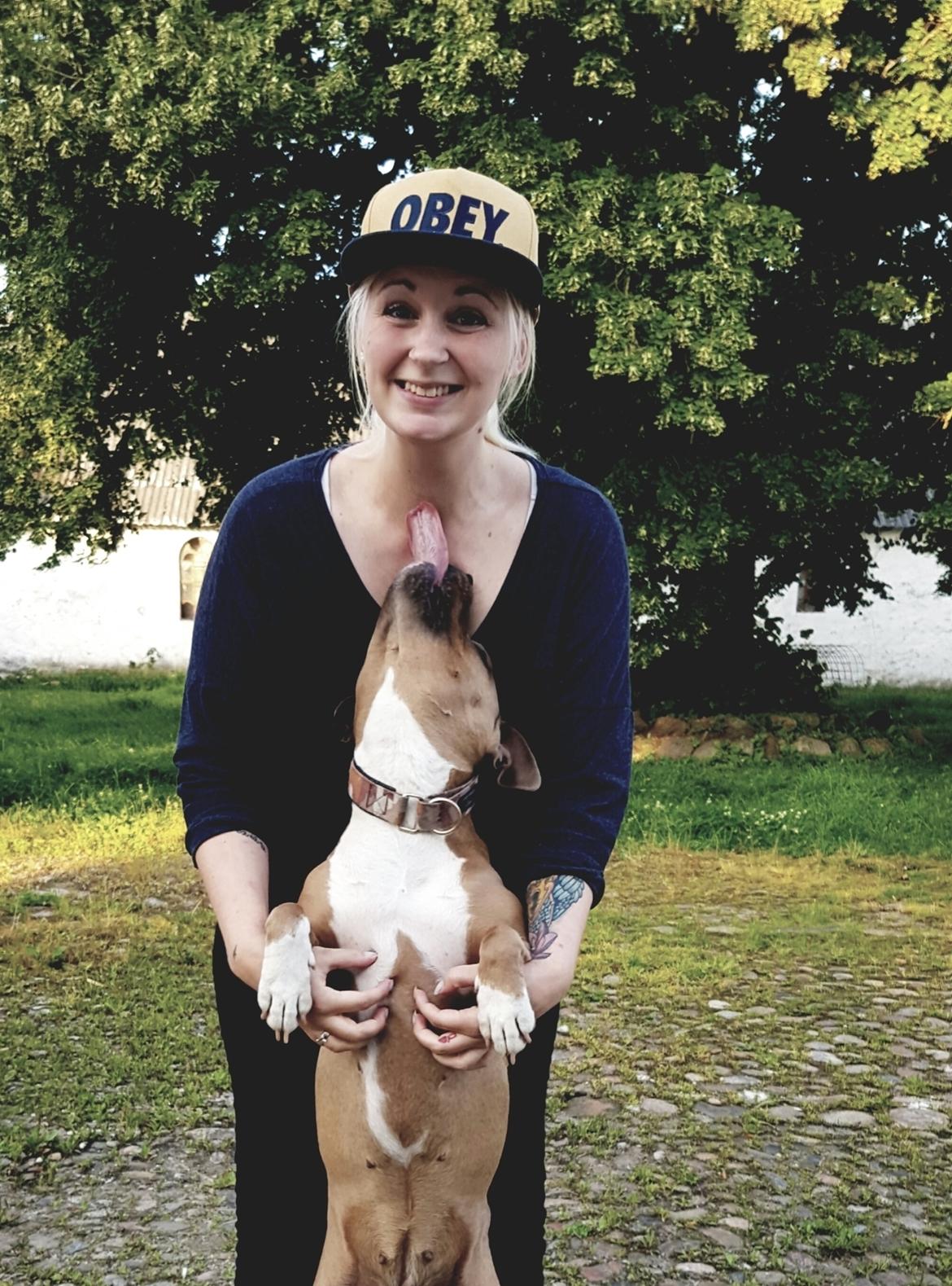 Blanding af racer Pixie billede 11