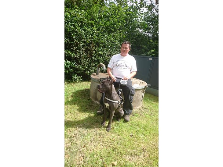 {{currentPhoto.altText}} billede {{currentPhoto.number}}