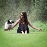 Papillon Flying Fantasies Kasper "Chico" <333