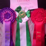 Dogo canario Bandito Fuerza Bull