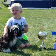 Chinese crested powder puff Odessa