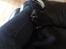 Labrador retriever Topper