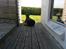 Dobermann Raphaels Fleur R.I.P <3