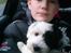 Bichon havanais Anton - Endelig 12 uger og på vej hjem. Hvor var sønnen lykkelig her.