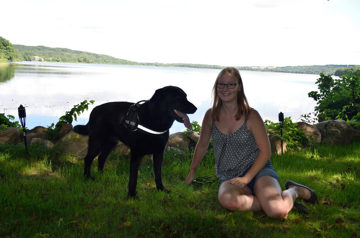 Blanding af racer Boss billede 36